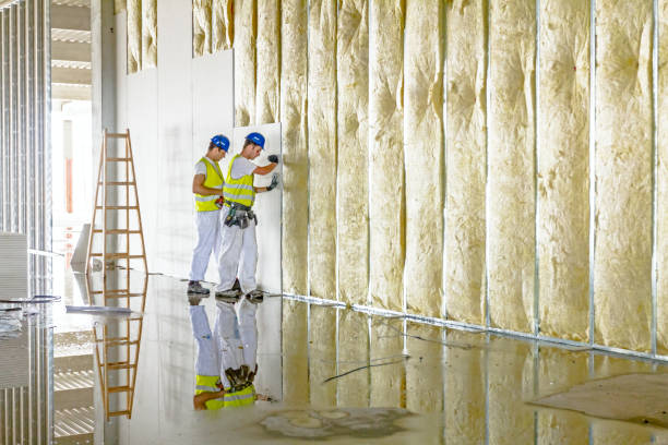 Professional Insulation Contractor in Downey, CA